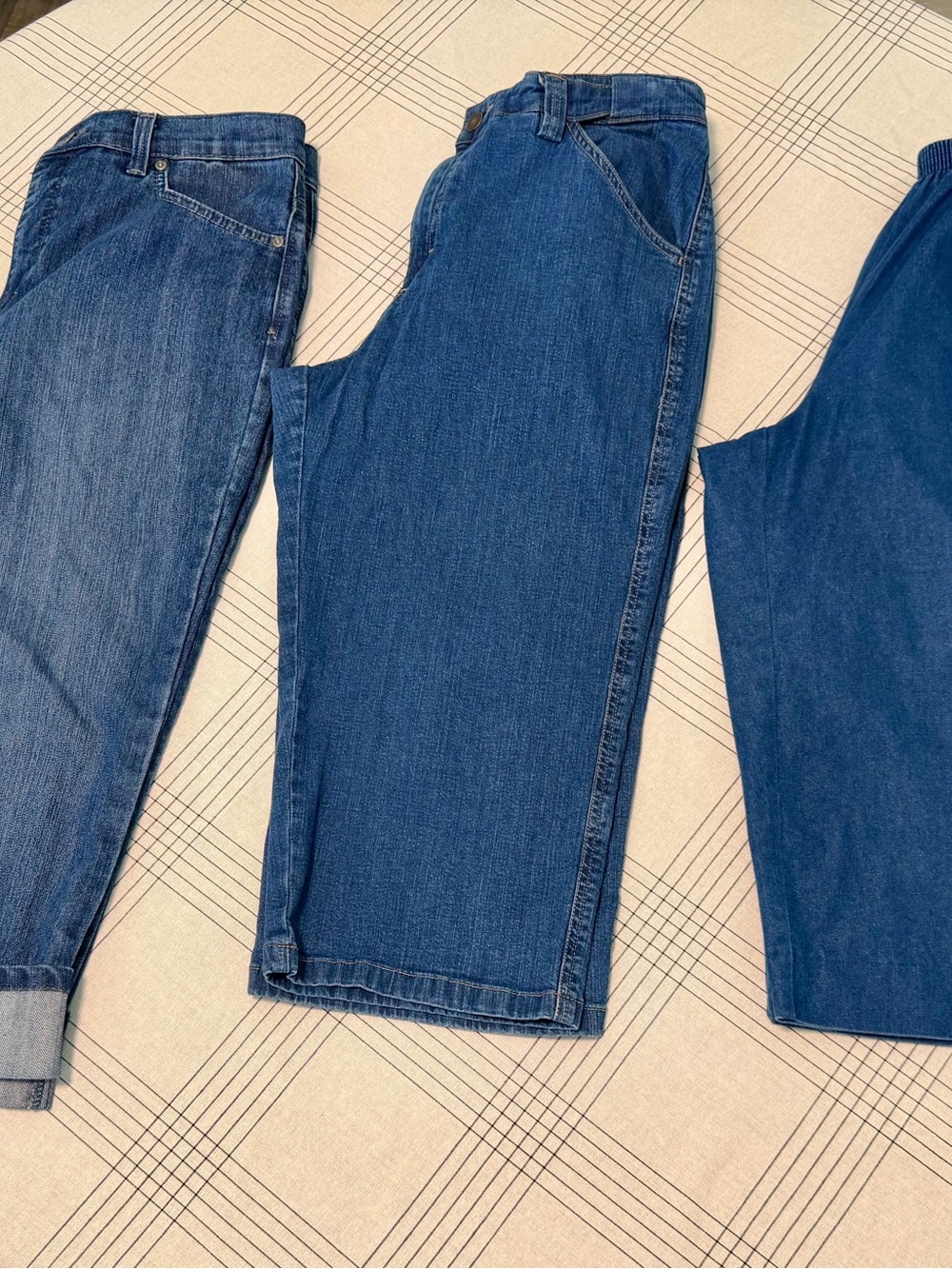 Women’s Denim Capri Bundle Size 10, 10P Gloria Vanderbilt, Lee, Alfred Dunner